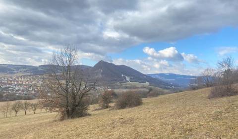 Sale Recreational land, Recreational land, Trenčín, Slovakia