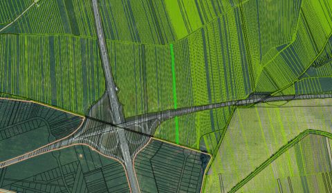 Sale Agrarian and forest land, Agrarian and forest land, Malacky, Slov