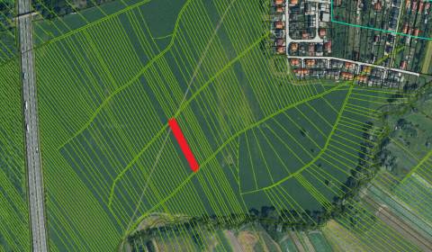 Sale Agrarian and forest land, Agrarian and forest land, Malacky, Slov