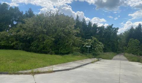 Sale Land – for living, Land – for living, Rímska, Malacky, Slovakia