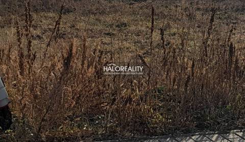 Sale Land – for living, Hlohovec, Slovakia