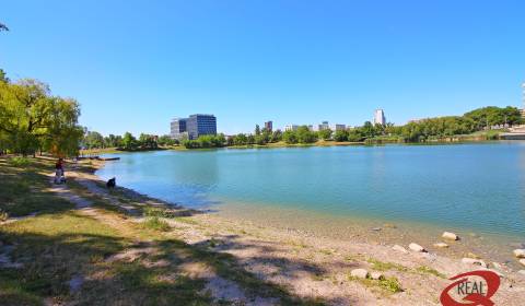 Searching for Studio, Studio, Bratislava - Ružinov, Slovakia