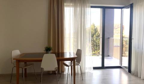 FOR RENT 1-bedroom luxurious, modern apartment, NEW BUILDING, garage