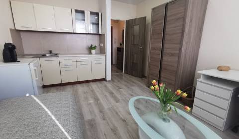 Rent Single studio, Single studio, Komenského, Komárno, Slovakia