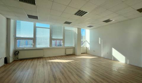 Rent Offices, Offices, Drobného, Bratislava - Dúbravka, Slovakia