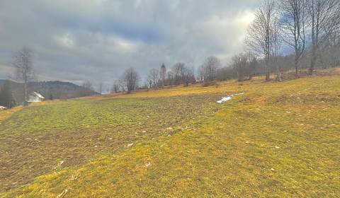 Sale Land – for living, Land – for living, Košariská, Čadca, Slovakia
