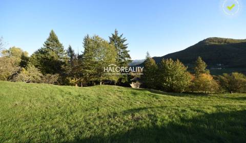 Sale Family house, Žarnovica, Slovakia
