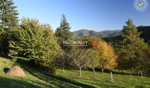 Sale Family house, Žarnovica, Slovakia