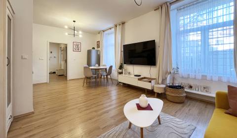 Rent One bedroom apartment, One bedroom apartment, Dankovského, Bratis