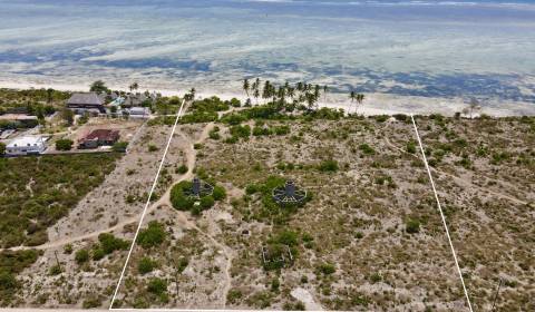 MAKUNDUCHI - BEACHFRONT INVESTMENT LAND