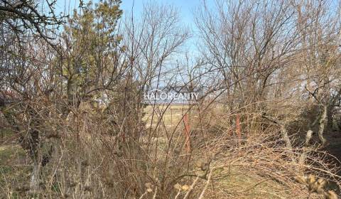 Sale Land – for living, Nové Zámky, Slovakia