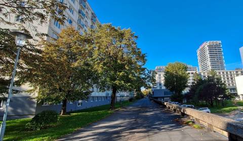 Searching for One bedroom apartment, One bedroom apartment, Bratislava