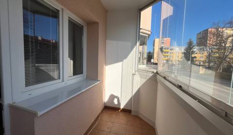 Rent One bedroom apartment, One bedroom apartment, Inovecká, Trenčín, 