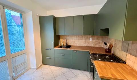 Rent One bedroom apartment, One bedroom apartment, Gajova, Bratislava 