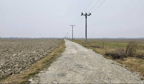 Sale Recreational land, Recreational land, Senec, Slovakia