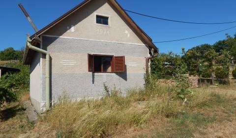 Sale Cottage, Cottage, Vinice, Nové Zámky, Slovakia