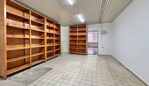 Storehouses and Workshops, Rent, Žilina, Slovakia