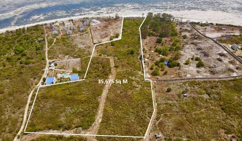 INVESTMENT BEACHFRONT LAND IN MICHAMVI