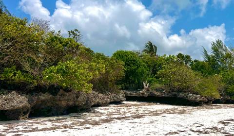 BEACHFRONT LAND FOR SALE IN JAMBIANI