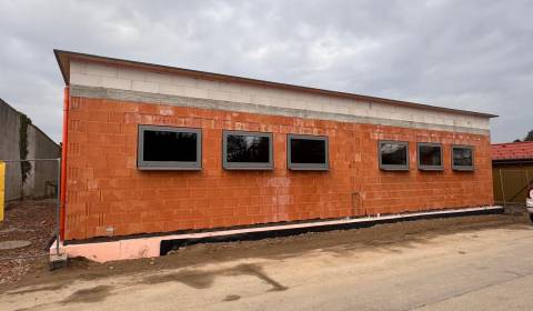 Sale Family house, Family house, Stopfenreuth, Bruck an der Leitha, Au