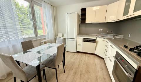 Rent One bedroom apartment, One bedroom apartment, Robotnícka, Senica,