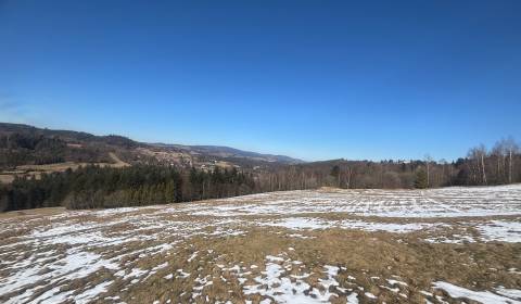 Sale Recreational land, Recreational land, Skalité, Čadca, Slovakia