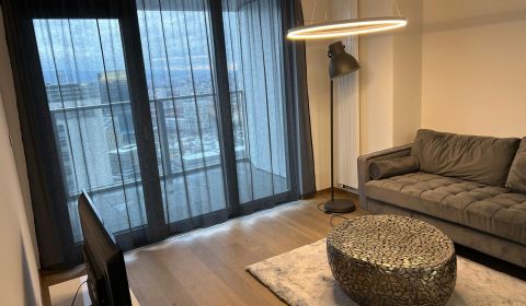 Rent One bedroom apartment, One bedroom apartment, Pribinova, Bratisla