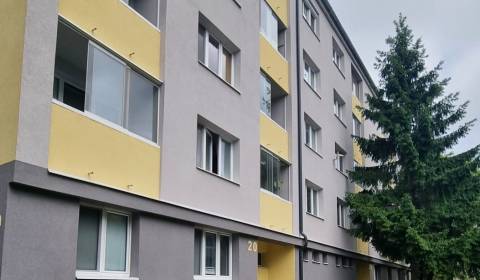 Rent One bedroom apartment, One bedroom apartment, M. Nešpora, Skalica