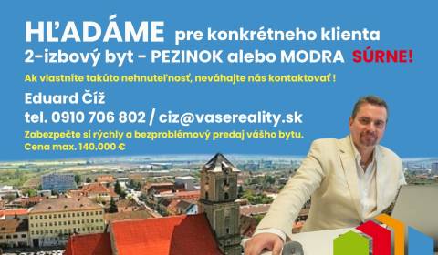 Searching for One bedroom apartment, One bedroom apartment, Pezinok, S