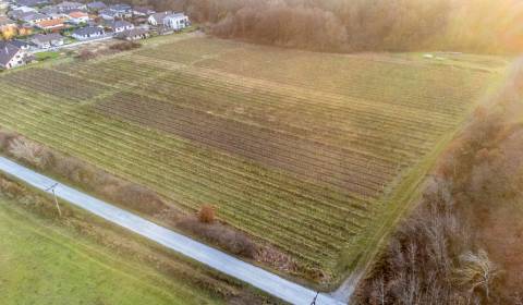 Sale Agrarian and forest land, Agrarian and forest land, Novosadská, P