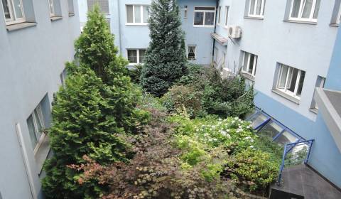 Rent Offices, Offices, Mýtna, Bratislava - Staré Mesto, Slovakia
