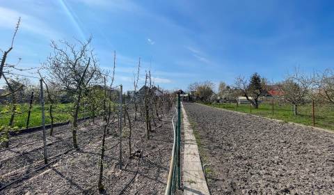 Sale Land – for living, Land – for living, Dunajská Streda, Slovakia