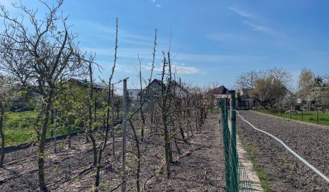 Sale Land – for living, Land – for living, Dunajská Streda, Slovakia