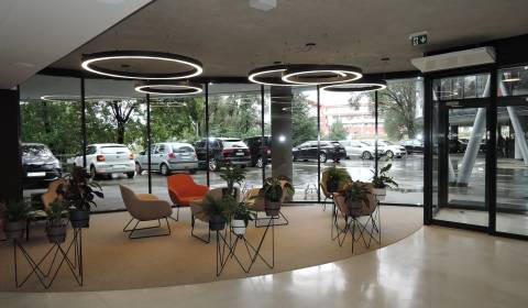 Rent Offices, Offices, Röntgenova, Bratislava - Petržalka, Slovakia