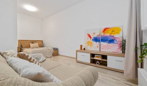 Sale Studio, Studio, Bratislava - Lamač, Slovakia