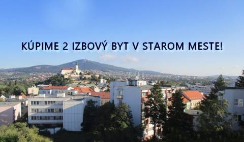 Searching for One bedroom apartment, One bedroom apartment, Nitra, Slo