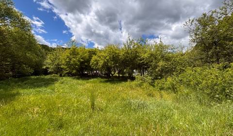 Sale Gardens, Gardens, Myslavská, Košice-okolie, Slovakia