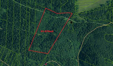 Sale Agrarian and forest land, Agrarian and forest land, Sabinov, Slov