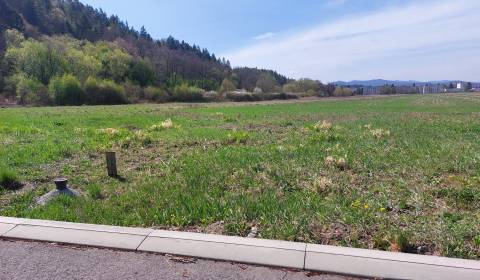 Land – for living, Záhorská, Sale, Zvolen, Slovakia