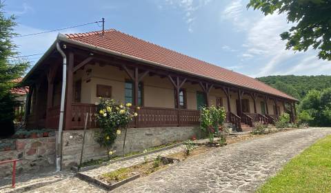 FOR SALE Family house with a beautiful plot in Mogyoróska, Hungary