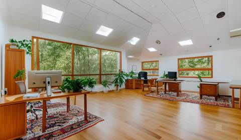 Sale Building, Building, Kubániho, Bratislava - Staré Mesto, Slovakia