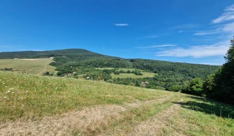 Sale Agrarian and forest land, Agrarian and forest land, Nová Bošáca, 