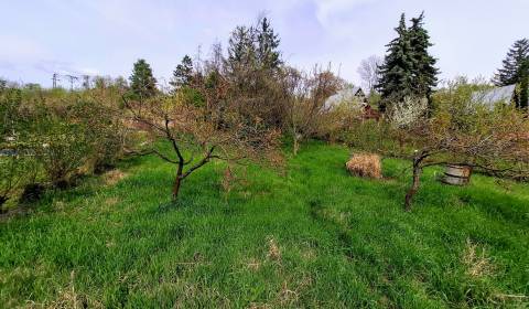 Sale Recreational land, Recreational land, Senec, Slovakia