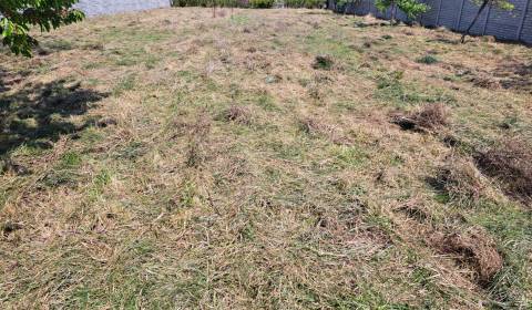 Sale Land – for living, Land – for living, Trnava, Slovakia