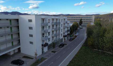 Rent Commercial premises, Commercial premises, Odevná, Trenčín, Slovak