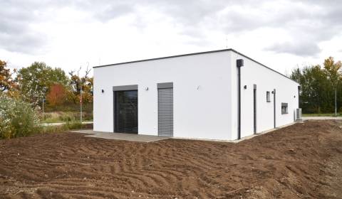 Sale Family house, Family house, Kolibríková, Senec, Slovakia