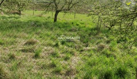 Sale Agrarian and forest land, Púchov, Slovakia
