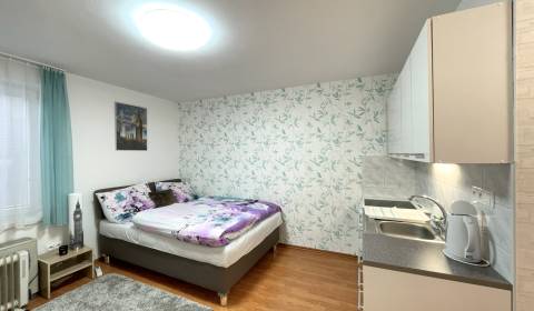 Sale Single studio, Single studio, Guothova, Bratislava - Nové Mesto,
