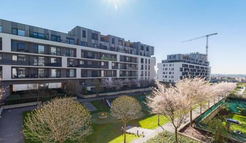 Sale One bedroom apartment, One bedroom apartment, Bratislava - Petrža