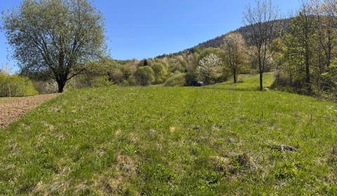 Sale Recreational land, Recreational land, Žilina, Slovakia